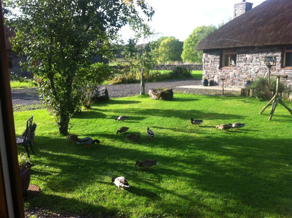 Clan Cottages Oban Camera foto